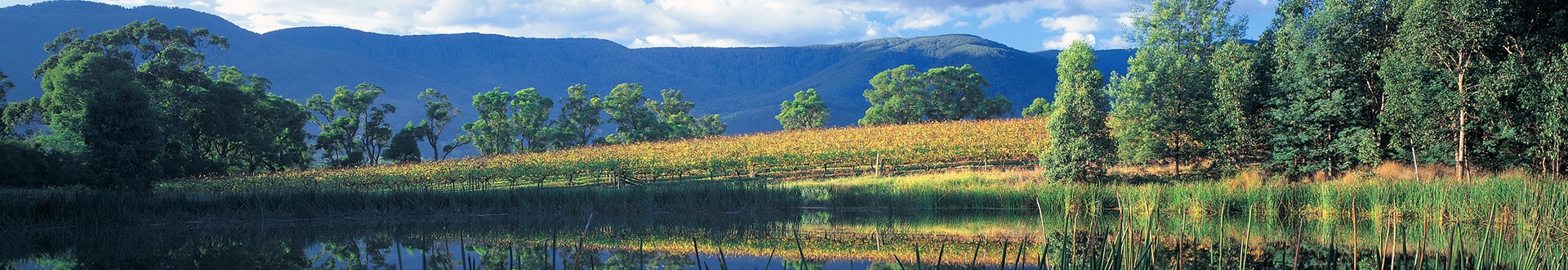 אוסטרליה וניו זילנד